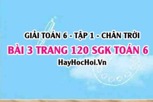 Giải bài 3 trang 120 Toán 6 Tập 1 SGK Chân trời sáng tạo